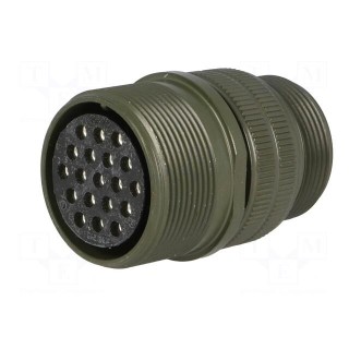 Connector: circular | Series: DS/MS | plug | female | PIN: 19 | for cable