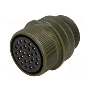 Connector: circular | Series: DS/MS | plug | female | PIN: 26 | for cable