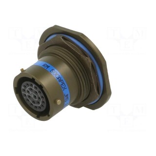 Connector: military | socket | female | Plating: gold-plated | size 13