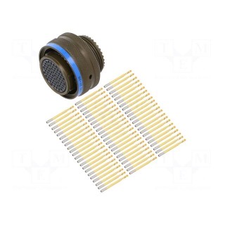Connector: military | socket | male | Plating: gold-plated | size 21