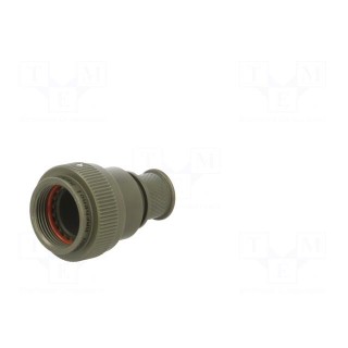 Accessories: plug cover | size 13 | MIL-DTL-38999 Series III