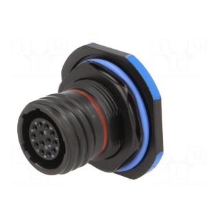 Connector: military | socket | female | PIN: 13 | size 11 | black | 5A