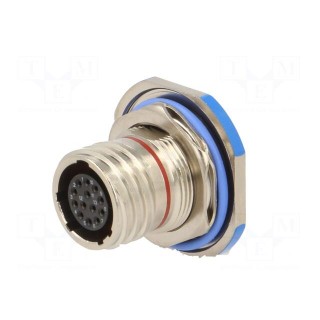 Connector: military | socket | female | PIN: 13 | size 11 | silver | 5A