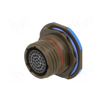 Connector: military | socket | female | PIN: 37 | size 15 | black | 5A