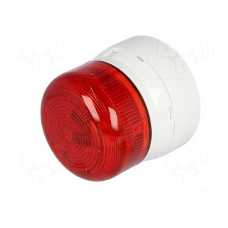 Signaller: lighting | continuous light | white | Flashguard | 230VAC