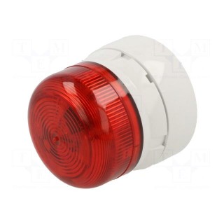 Signaller: lighting | flashing light | white | Flashguard | 230VAC