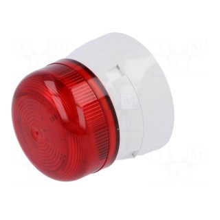 Signaller: lighting | flashing light | white | Flashguard | IP65