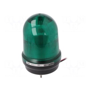 Signaller: lighting | flashing light,continuous light | green