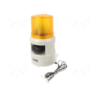 Signaller: lighting-sound | 24VDC | siren,flashing light | amber