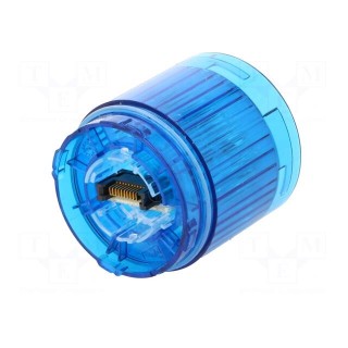 Signaller: lighting | LED | blue | 24VDC | IP65 | Ø50x50mm | LR5 | -20÷50°C