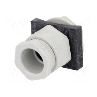 Signallers accessories: cable gland