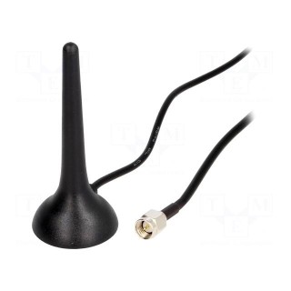 External antenna | EXTA FREE | magnet,for ribbon cable | IP66 | 3m