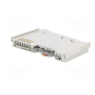 Analog output | for DIN rail mounting | IP20 | OUT: 4 | 12x100x69.8mm
