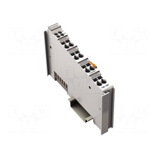 Bus end terminal | for DIN rail mounting | IP20 | 12x100x69.8mm