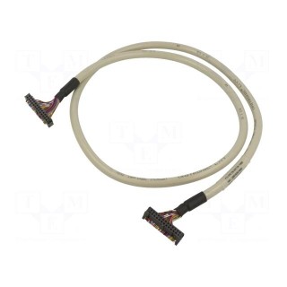 Connecting cable | Cores: 26 | 1000mm | IS2-2IDC-S-26,IS2-2IDC-W-26