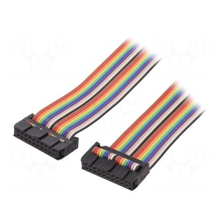 Connecting cable | FLAT-20 | 1m
