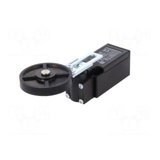 Limit switch | adjustable lever, roller | NO + NC | 5A | max.250VAC