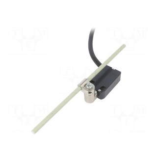Limit switch | glass fibre rod Ø6x200mm R 19-189mm | NO + NC | 10A