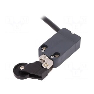 Limit switch | lever R 42,1mm, plastic roller Ø22mm | NO + NC