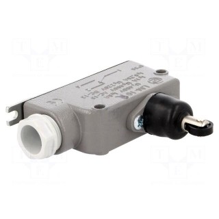 Limit switch | oblong plastic roller | SPDT | 6A | max.400VAC | IP56