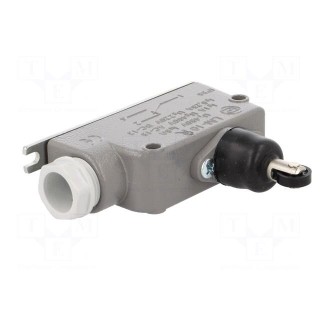 Limit switch | oblong plastic roller | SPDT | 6A | max.400VAC | IP56