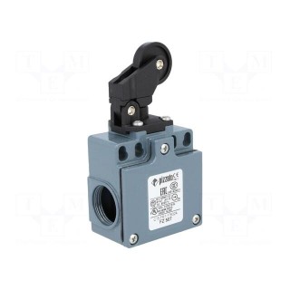 Limit switch | plastic roller Ø22mm | NO + NC | 10A | max.500VAC
