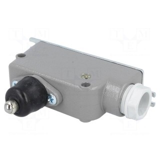 Limit switch | plunger | SPDT | 6A | max.400VAC | max.220VDC | IP56