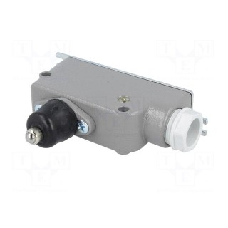 Limit switch | plunger | SPDT | 6A | max.400VAC | max.220VDC | IP56