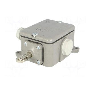 Limit switch | pusher with parallel roller | NO + NC | 16A | IP56