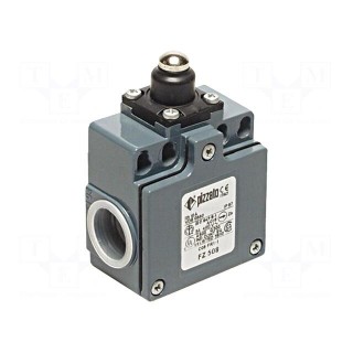 Limit switch | rubber seal,pin plunger Ø10mm | NO + NC | 10A | IP67