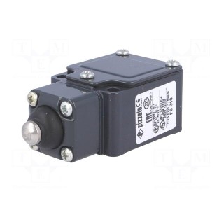 Limit switch | rubber seal,pin plunger Ø10mm | NO + NC | 6A | 400VAC