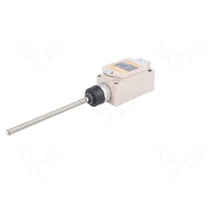 Limit switch | spring, total length 110mm | NO + NC | 10A | M20 | IP64