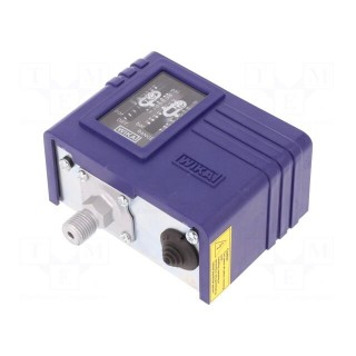Module: pressure switch | pressure | 0÷7 bar | OUT 1: SPDT,relay
