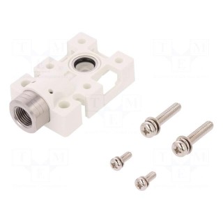 Module: socket | for back plate | Connection: G 1/8" | DP-100