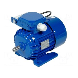 Motor: AC | 1-phase | 0.25kW | 230VAC | 1340rpm | 1.78Nm | IP54 | 2.5A | arms