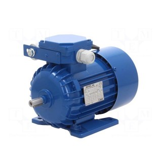 Motor: AC | 1-phase | 0.55kW | 230VAC | 1350rpm | 3.89Nm | IP54 | 4.2A | arms