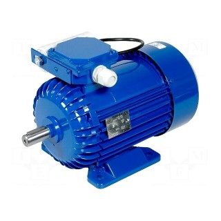 Motor: AC | 1-phase | 0.75kW | 230VAC | 1340rpm | 5.35Nm | IP54 | 5.6A | arms