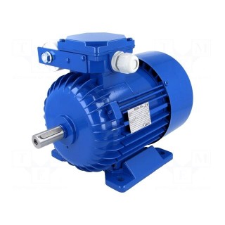 Motor: AC | 1-phase | 0.75kW | 230VAC | 1410rpm | 5.08Nm | IP54 | 4.8A | arms