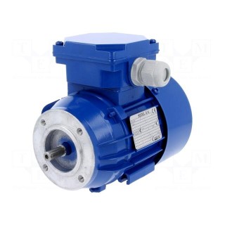 Motor: AC | 60W | 230/400VAC | 1400rpm | continuous operation S1 | IP54