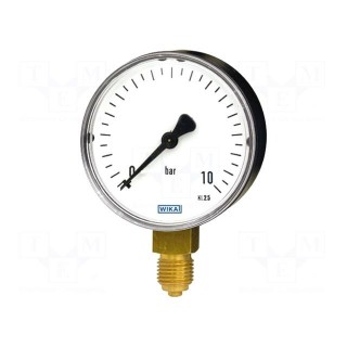 Manometer | 0÷250bar | Class: 2.5 | 50mm | Temp: -20÷60°C | 111.10