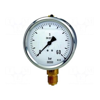 Manometer | 0÷60bar | Class: 1.6 | 63mm | Temp: -20÷60°C | 213.53