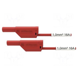 Test lead | 16A | banana plug 4mm,both sides | Urated: 1kV | Len: 2m