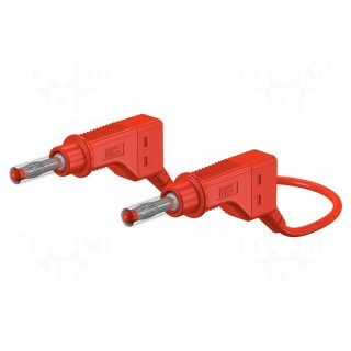 Test lead | 32A | banana plug 4mm,both sides | Urated: 600V | red
