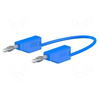 Test lead | 60VDC | 30VAC | 19A | banana plug 4mm,both sides | blue