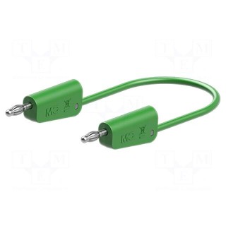 Test lead | 60VDC | 30VAC | 19A | banana plug 4mm,both sides | green