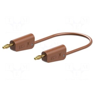 Test lead | 60VDC | 30VAC | 32A | banana plug 4mm,both sides | brown