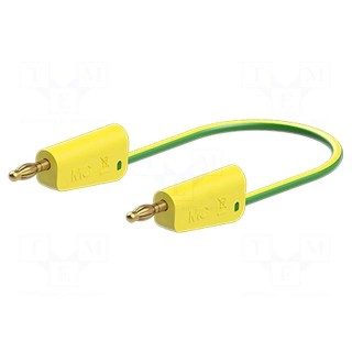Test lead | 60VDC | 30VAC | 32A | banana plug 4mm,both sides