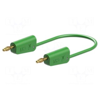 Test lead | 60VDC | 30VAC | 19A | banana plug 4mm,both sides | green
