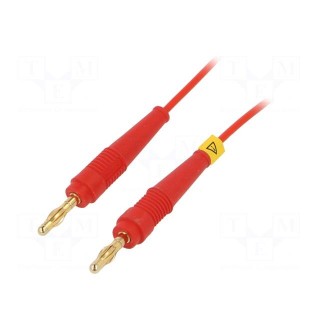 Test lead | 60VDC | 30VAC | 19A | banana plug 4mm,both sides | Len: 2m