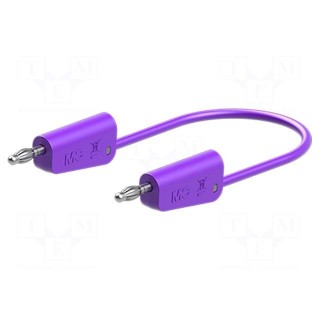 Test lead | 60VDC | 30VAC | 19A | banana plug 4mm,both sides | violet